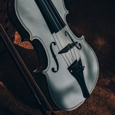 viola