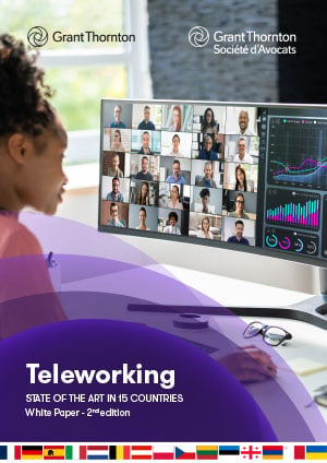 Teleworking White Book: state of the art in 15 countries